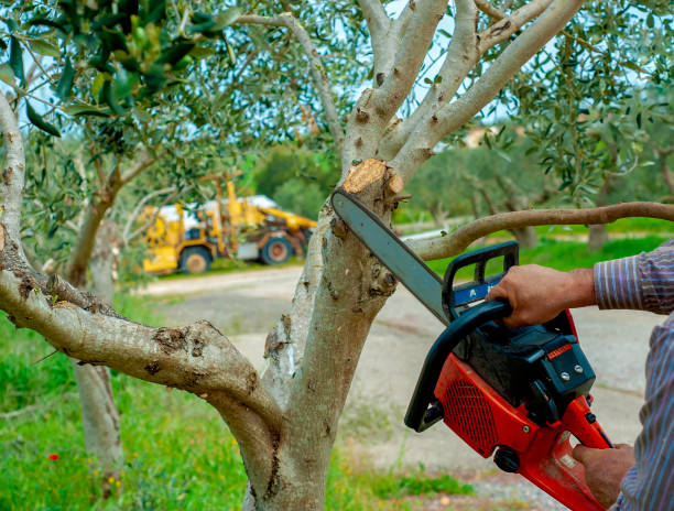 Best Tree Cutting Near Me  in Basking Ridge, NJ